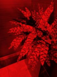 -Yestar杭州艺星医疗美容医院