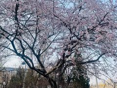 -玲珑塔公园
