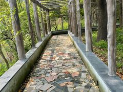 -南汇桃花村