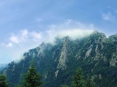 -芦芽山旅游度假区