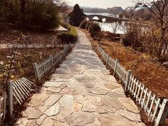 -大塘金香草谷