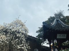 -何园