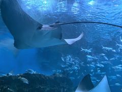 -海合安成都极地海洋公园