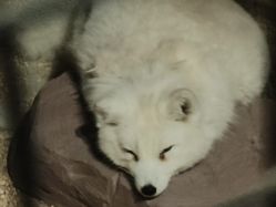 -酷嗒动物文化乐园(cutezoo西溪乐天城店)