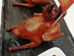 -侨美·唐荔园·40年地道粤菜