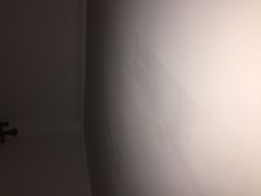 -新招鲜本地鸡窝(平凉路店)