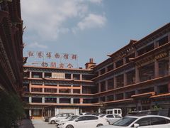 -武汉达临性学生命文化博物馆