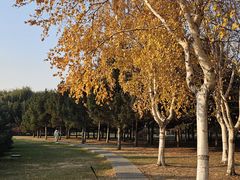 -长春公园(普阳街道)