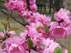 -东升八家郊野公园