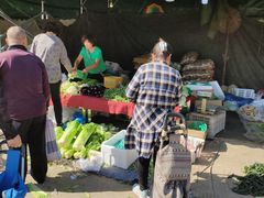 -何庄子阿米玛玛农产品批发市场