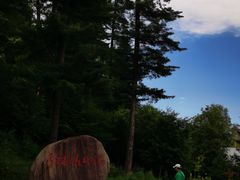 -五营红松林海景区