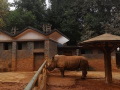 -昆明动物园