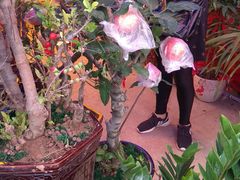 -新汇大融城