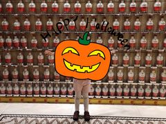-老淳安—伴山伴湖(千岛湖开元度假村店)