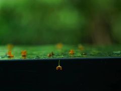 -杭州少年儿童公园