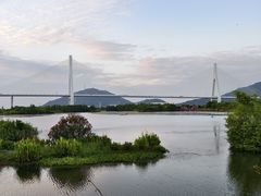 -芒洲湿地公园