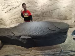 -白鹤梁水下博物馆