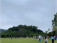 -大屏嶂森林公园