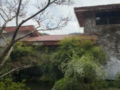 -中国茶叶博物馆(双峰馆区)