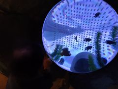 -沈阳海洋探索中心