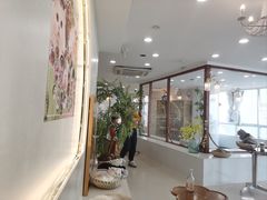 -共舞时光猫咖·狗咖(新街口店)