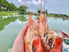-水岸居湖景农家乐·阳澄湖大闸蟹
