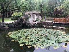 -中国银行(上海市复旦大学支行)