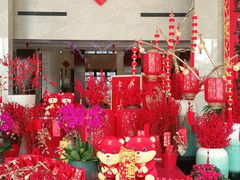 -常州环球恐龙城维景国际大酒店
