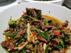 香菜炒牛肉-壹盏灯(蚂蚁工房店)