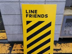 -line friends(明洞旗舰店)