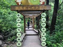 -大岭沟猕猴桃谷风景区