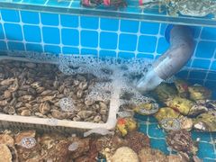 -锅老头铁锅炖•大锅蒸汽海鲜(韩乐坊店)