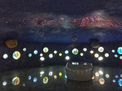 -中国西峡恐龙遗迹园