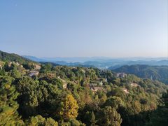-浔味·山屿湖·正宗全鱼宴老字号