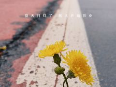 -东堤公园