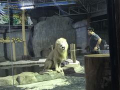 -清迈夜间动物园