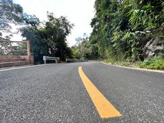 -海南热带雨林国家公园吊罗山景区