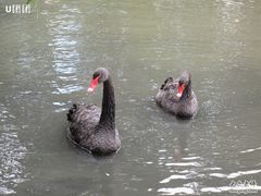 -新疆天山野生动物园