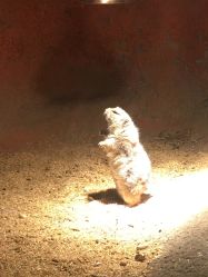 -酷嗒动物文化乐园(cutezoo西溪乐天城店)