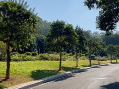 -东莞植物园