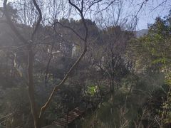 -杭州半山国家森林公园