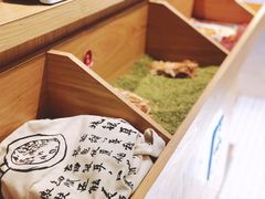 -炖物24章·顺时轻养茶(杭州保利时光里店)