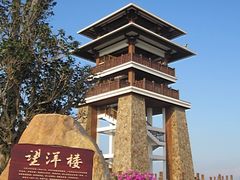 -大湾区中央湿地公园