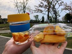 -府河摄影公园
