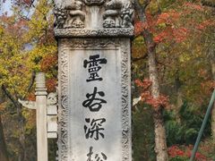-灵谷景区