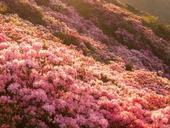 -木兰云雾山