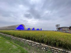 -中国天府农业博览园