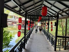 -侨美·唐荔园·40年地道粤菜