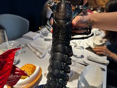 -Oyster Talks 四度蚝法餐厅
