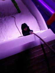 -圣名游乐城冰雪大世界